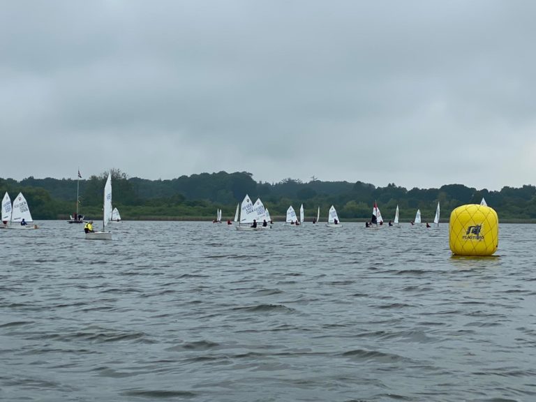 Schusterjunge In Preetz – Erste Opti B Regatta 2020 – Schleswig-Holstein